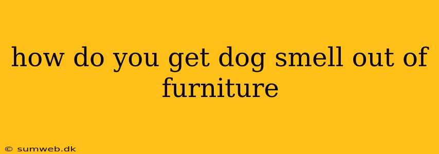 how do you get dog smell out of furniture