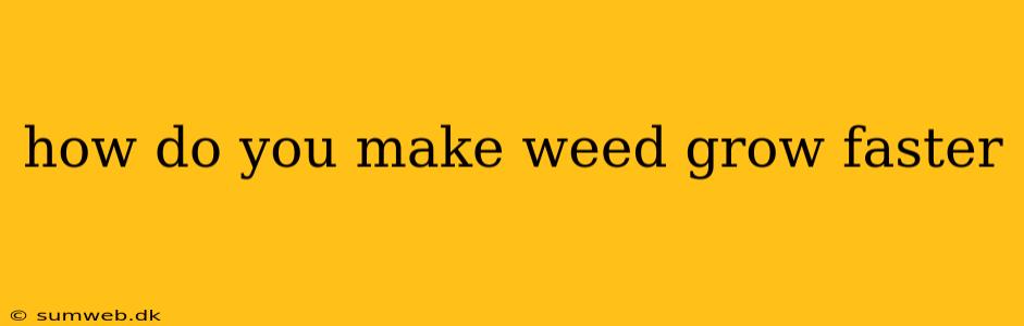 how do you make weed grow faster