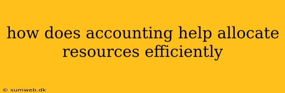 how does accounting help allocate resources efficiently