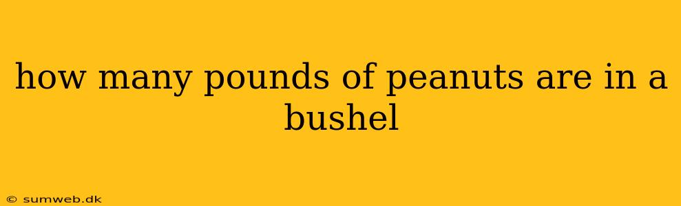 how many pounds of peanuts are in a bushel