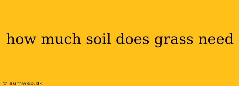 how much soil does grass need