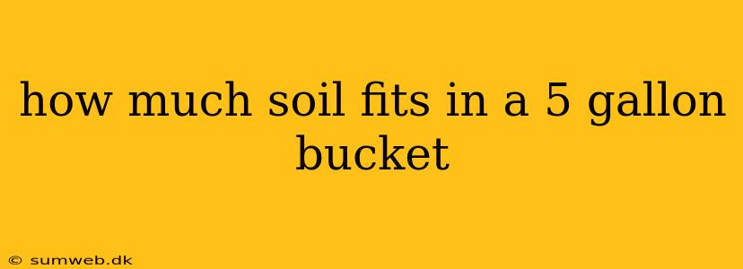 how much soil fits in a 5 gallon bucket