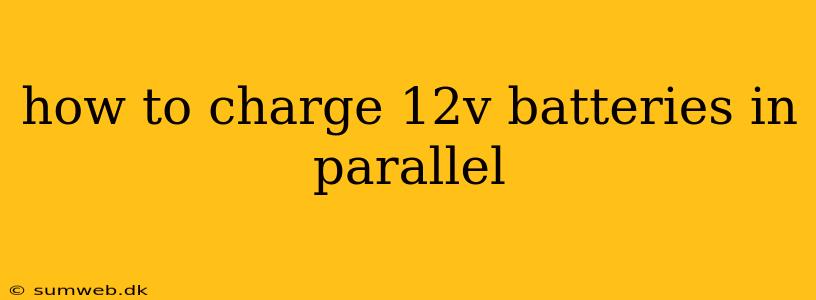 how to charge 12v batteries in parallel