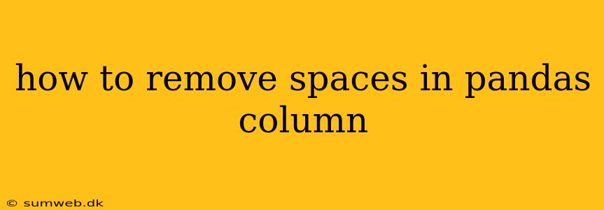 how to remove spaces in pandas column