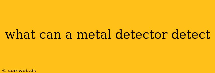 what can a metal detector detect