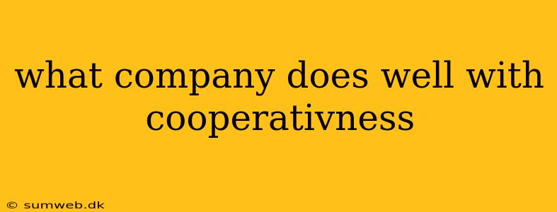 what company does well with cooperativness