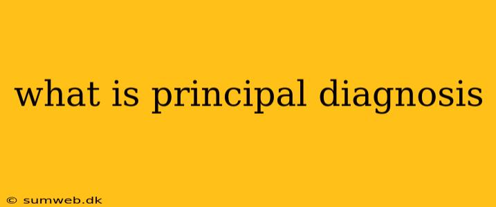 what is principal diagnosis