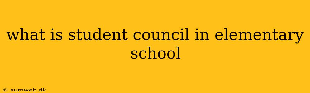 what is student council in elementary school